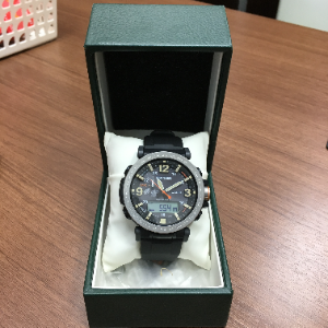 CASIO PRO TREK PRG600